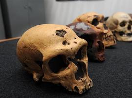 La supremacía numérica del \Homo sapiens\ provocó la desaparición de los neandertales 