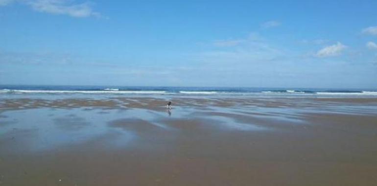 Una empresa pública de Cantabria obtiene el contrato para analizar las aguas del emisario de Xagó