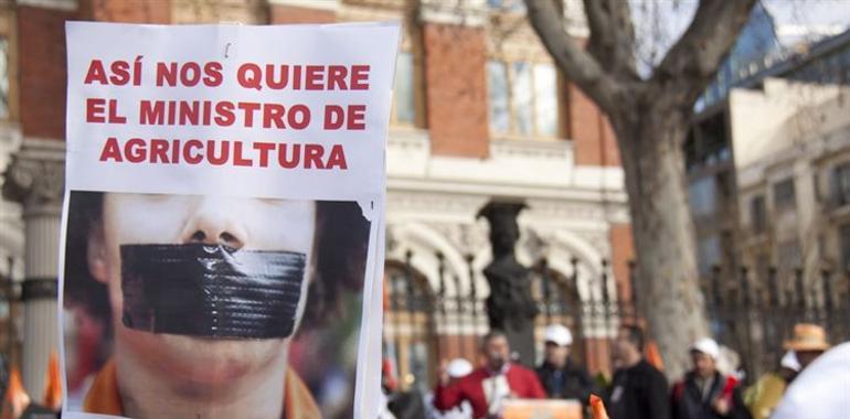Miles de agricultores y ganaderos reclaman al Gobierno "la PAC para quien la trabaja"