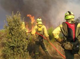 Ministerio y CCAA coordinarán sus medios para la extinción de incendios 