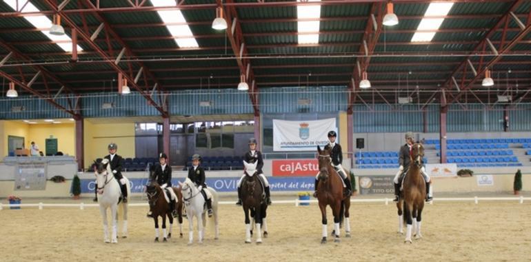 Denuncian que el lamentable estado del Asturcón puede causar daños a los caballos