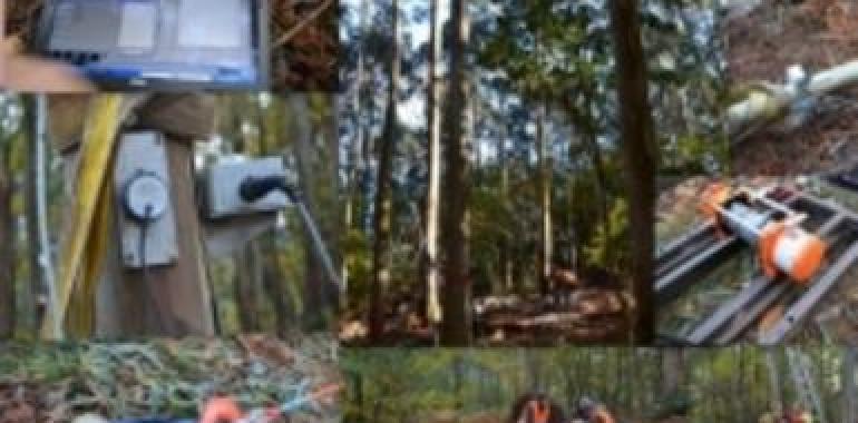 Siero pide al Principado medidas urgentes para el Centro Tecnológico de la Madera de Pumarabule