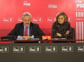 El PSOE exige en el Congreso la apertura de la Variante de Pajares