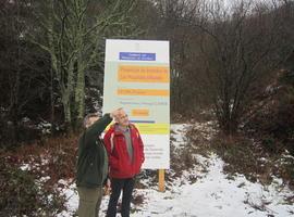 Trabajos en prevención de incendios forestales en Pola de Allande