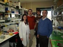 Hongo \gasolinera\ produce Omega-3 realmente barato