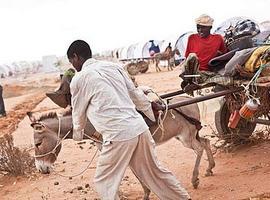 ACNUR traslada a casi 5.000 refugiados somalíes a un nuevo campo