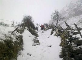 Cuatro puertos de montaña cerrados y quince con cadenas en Asturias