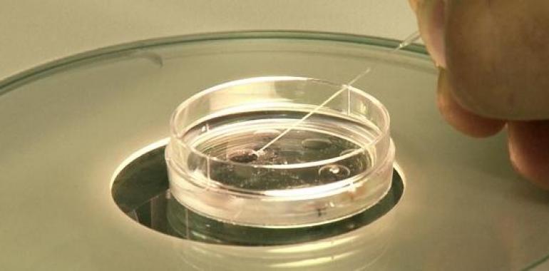 TESELAS divulgará el trabajo de los jóvenes investigadores asturianos
