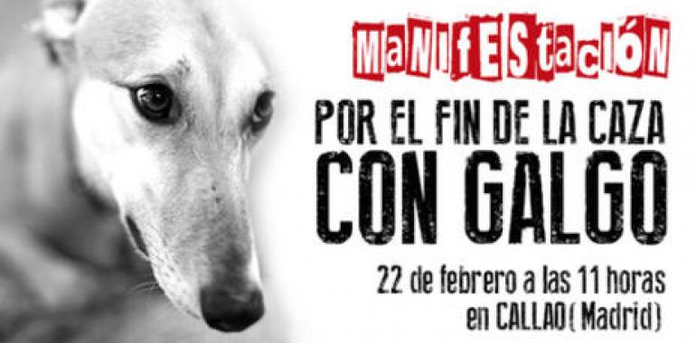 Concentración por el fin de la caza con galgo en Madrid 