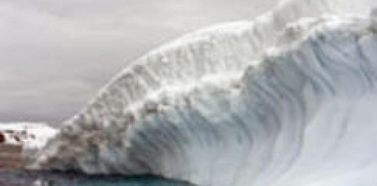 OMI destaca nuevas regulaciones contra contaminación marina en la Antártida