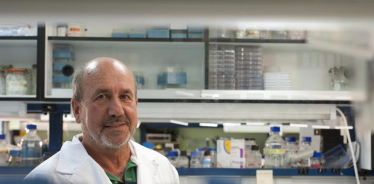 Vacuna española contra la artritis epidémica chikungunya
