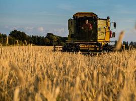 La variedad de alimentos consumidos por la humanidad se reduce peligrosamente