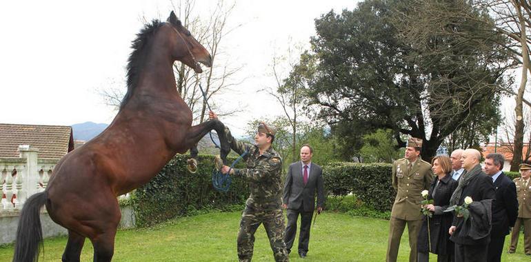 La cabaña equina asturiana se va a la mili