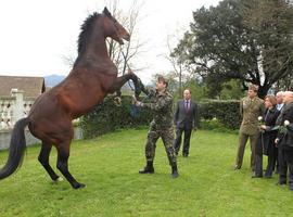 La cabaña equina asturiana se va a la \mili\