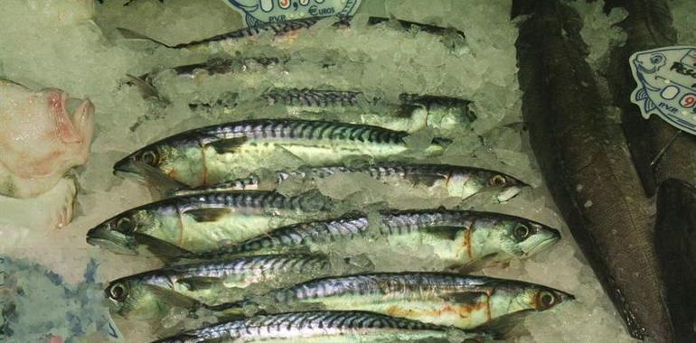 Los pescadores asturianos protestan en Oviedo hartos por el robo de la xarda