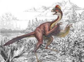 El misterioso y terrorífico \pollo del infierno\