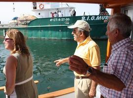 Cientos de miles de medusas inundan el Mar Menor