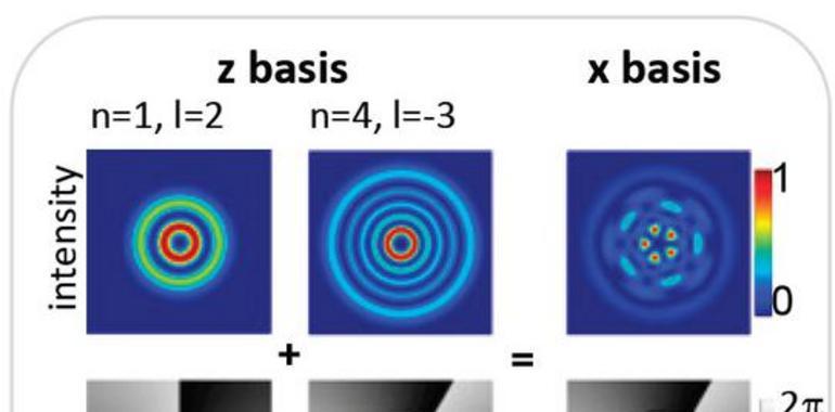 Crean gatos de Schrödinger que están vivos, muertos y en otros 101 estados a la vez