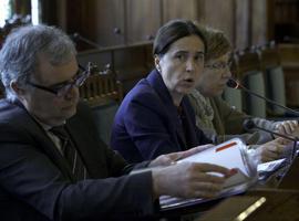 Carcedo defiende la necesidad de las leyes de crédito extraordinario
