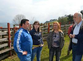 Agroganadería invierte euros 130.000 euros en obras forestales en Piloña 