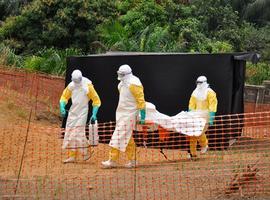La OMS necesita otros 4 M$ para combatir la epidemia de Ébola en África occidental