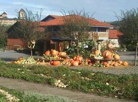 El Botánico retrasa su horario de cierre en Semana Santa y amplía la frecuencia de las visitas guiadas