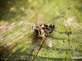 ¿Por qué necesitamos a las abejas