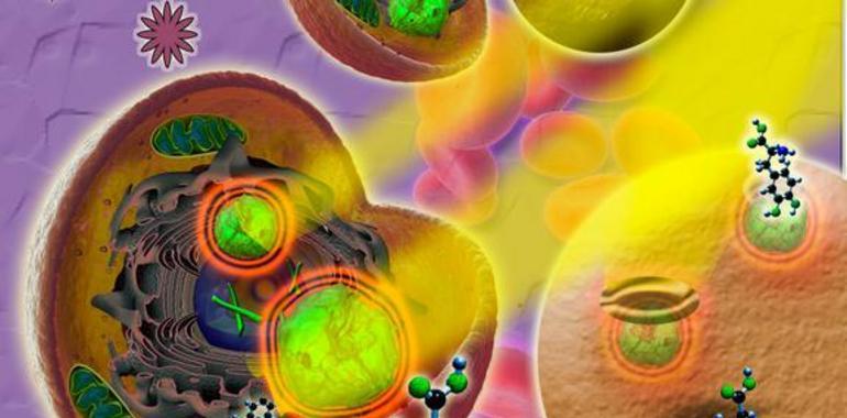 Español consigue nanofármacos inyectables contra el dolor crónico