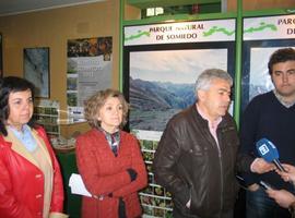 El oso como emblema de la biodiversidad en Asturias