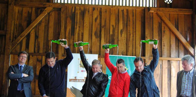 La sidra de Manzana Seleccionada estrena cosecha con 9 millones de culinos
