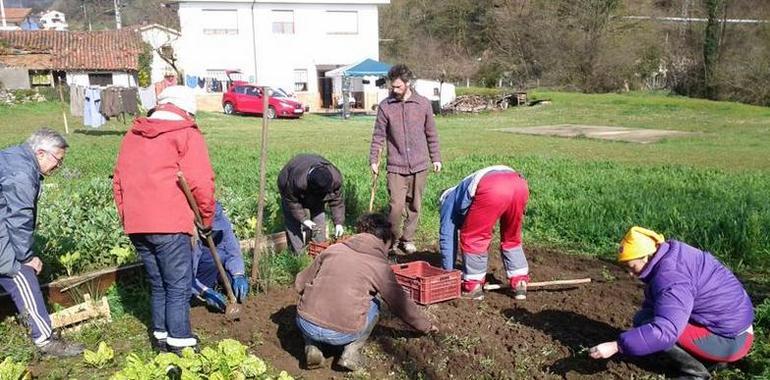 Abierta la inscripción para un curso de “Plantas aromáticas y su empleo como fitosanitarios”