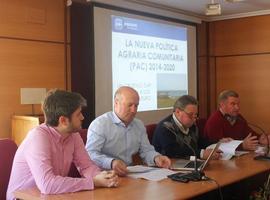El PP afirma que Cañete es el único que defiende a los ganaderos asturianos