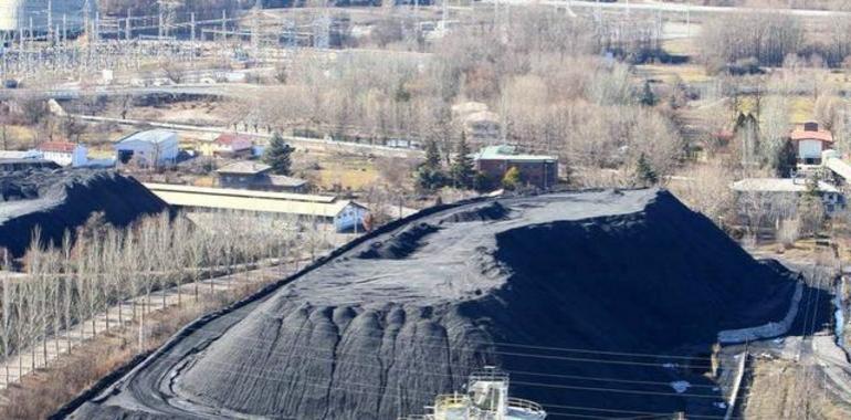 María Muñiz: El PSOE defenderá el carbón autóctono en Europa