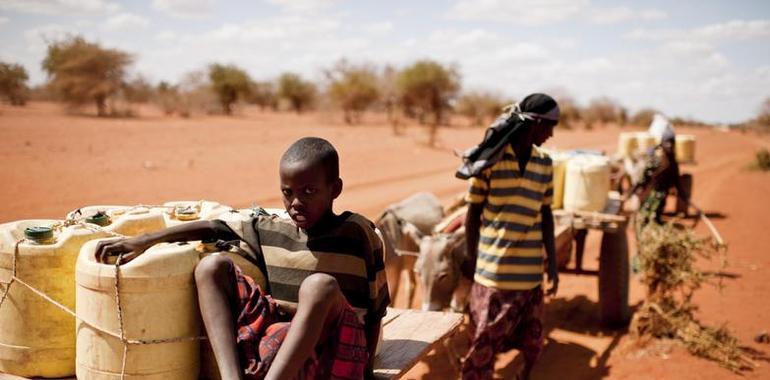 Etiopía: ACNUR traslada a refugiados somalíes a un nuevo campamento