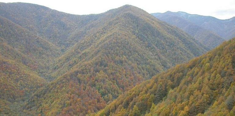 Los Municipios de Montaña unen sus voces mañana en Oviedo