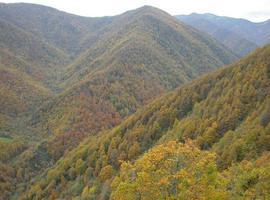 Los Municipios de Montaña unen sus voces mañana en Oviedo