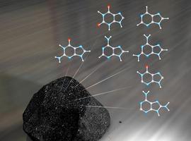 Los componentes del ADN pudieron llegar del espacio