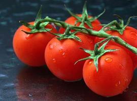 Confirman el beneficio del tomate ante infartos cardio y cerebrovasculares