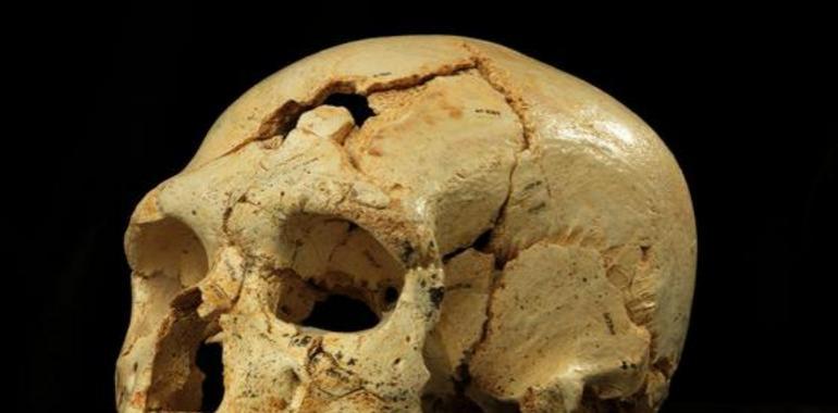 Humano neandertal