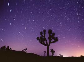 Lluvia de estrellas en la cámara estelar