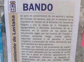 El PA recurre al juzgado la #caza #de #perros abandonados en Laviana