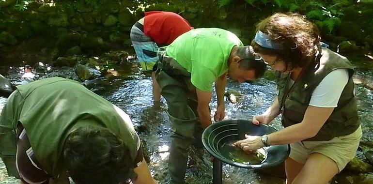 #Navelgas: El #oro y su cultura en el río