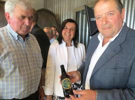 Trabanco apuesta con Avalon por una sidra más competitiva en el mercado exterior