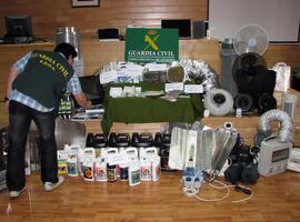 La Operación Sésamo desarticula dos bandas de distribucción de drogas y anabolizantes en Asturias