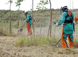 Más de 7.000 personas en riesgo de exclusión han participado en el Programa de Conservación y Mejora de Parques Naturales de ”la Caixa”