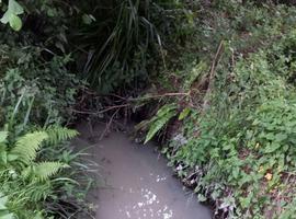 Ecologistas denuncian vertidos lácteos en la Tuerba de Villaviciosa