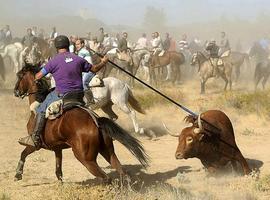 #Antitaurinos heridos a pedradas en #Tordesillas