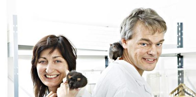 Nobel de Medicina 2014 para los descubridores del ‘GPS’ cerebral
