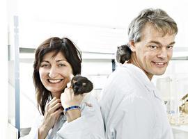 Nobel de Medicina 2014 para los descubridores del ‘GPS’ cerebral
