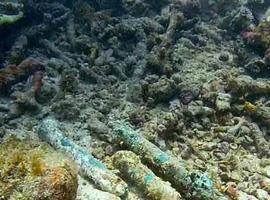 Los restos hallados en Haití no son de la Santa María, la capitana de Cristóbal Colón
